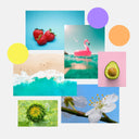 The Different Seasonal Sub-Types of the Spring Palette