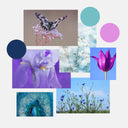 The Different Seasonal Sub-Types of the Summer Palette