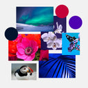 The Different Seasonal Subtypes of the Winter Palette