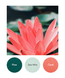 Pine, Sea Mist, Coral