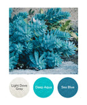 Light Dove Grey, Deep Aqua, Sea Blue