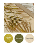 Golden Olive, Rich Moss, Sandstone