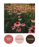Antique Rose, Dusty Rose, Chocolate
