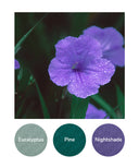 Eucalyptus, Pine, Nightshade