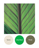 Stone, Jelly Bean, Khaki