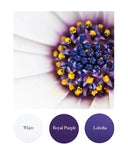 White, Royal Purple, Lobelia