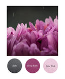 Slate, Deep Berry, Lilac Pink