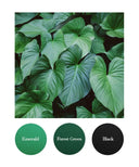 Emerald, Forest Green, Black