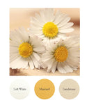 Soft White, Mustard, Sandstone