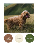 Light Chocolate, Cream, Rich Moss