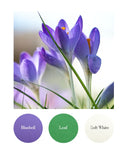 Bluebell, Leaf, Soft White