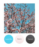 Lagoon Blue, Pink Ice, Charcoal