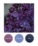 Plum Violet, Heliotrope, Navy