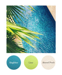 Kingfisher, Lime, Almond Peach