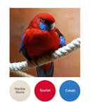 Marble Stone, Scarlet, Cobalt