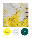 Lemon Yellow, Chalk White, Pine
