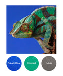 Cobalt Blue, Emerald, Mole
