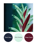 Dark Navy, Mint Sorbet, Deep Claret