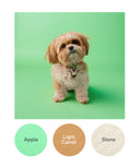 Apple, Light Camel, Stone