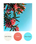 Soft White, Coral, Blue Aqua