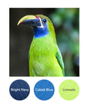 Bright Navy, Cobalt Blue, Limeade