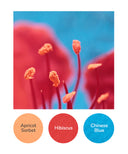 Apricot Sorbet, Hibiscus, Chinese Blue