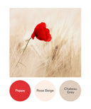 Poppy, Rose Beige, Chateau Grey