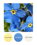 Lemonade, Cornflower, Soft White