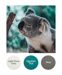 Light Dove Grey, Egyptian Teal, Mole