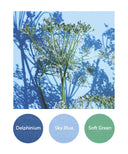 Delphinium, Sky Blue, Soft Green