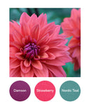 Damson, Strawberry, Nordic Teal