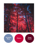 Venetian Blue, Cherry, Deep Claret