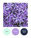 Mint, Wisteria, French Navy