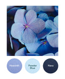 Hyacinth, Powder Blue, Navy