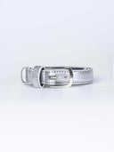 Taylor Metallic Skinny Belt