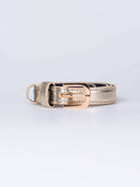 Taylor Metallic Skinny Belt